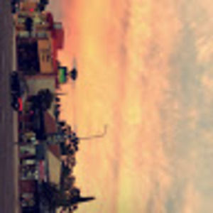 Meet your Posher, Max